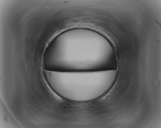 X0000097501525200802220829