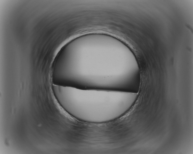 X0000097501526200802220829