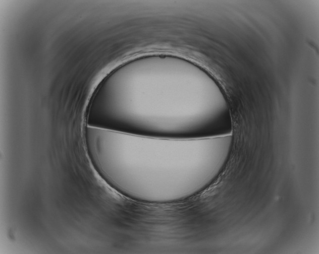 X0000097501527200802220829