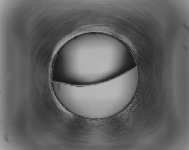 X0000097501528200802220829