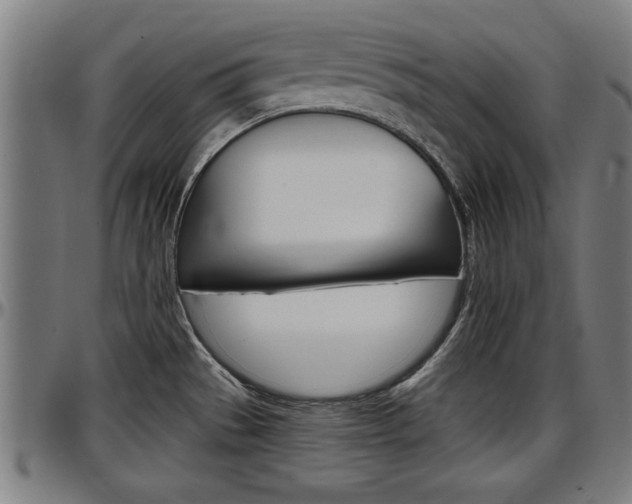 X0000097501529200802220829