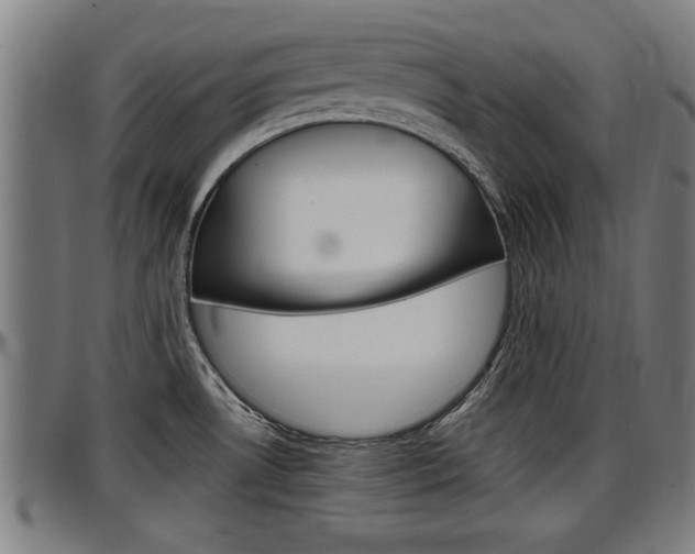 X0000097501530200802220829