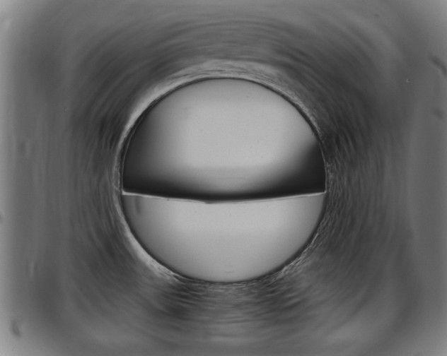 X0000097501531200802220829