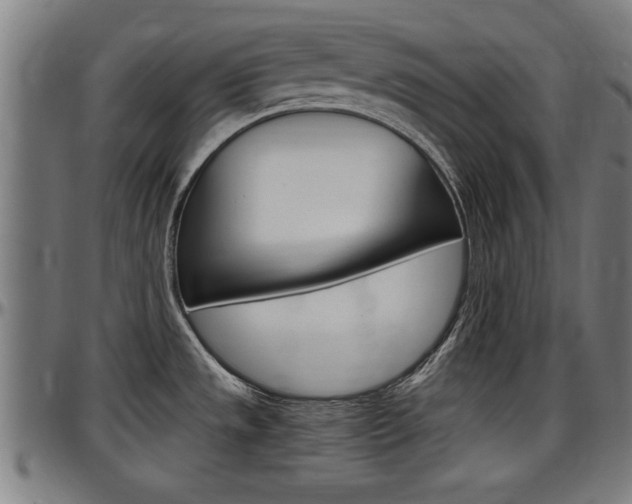 X0000097501533200802220829