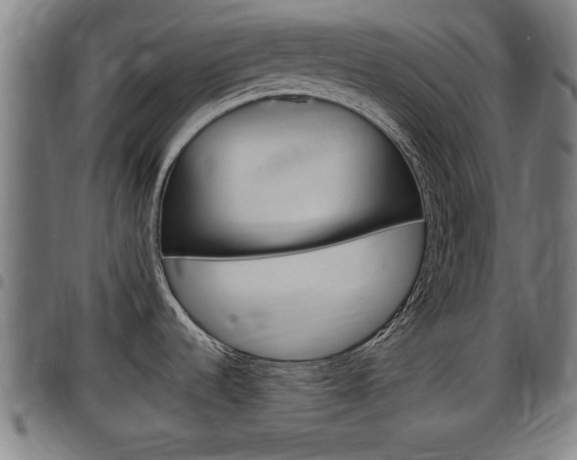 X0000097501536200802220829