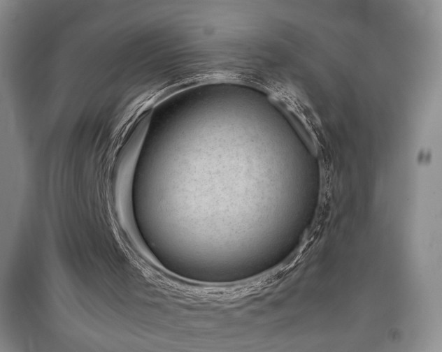 X0000097500001200802221455