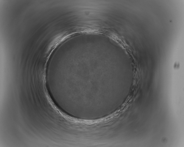 X0000097500002200802221455