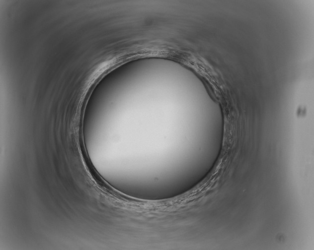 X0000097500003200802221455