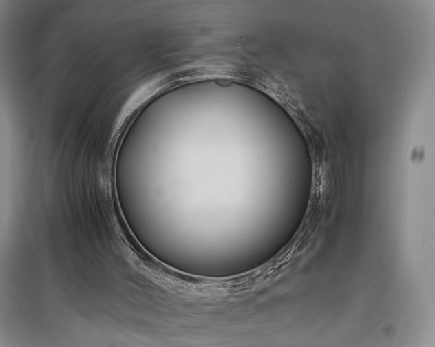 X0000097500004200802221455