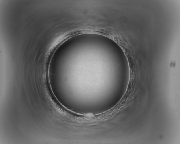 X0000097500005200802221455