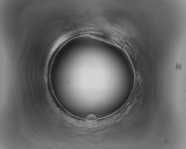 X0000097500006200802221455