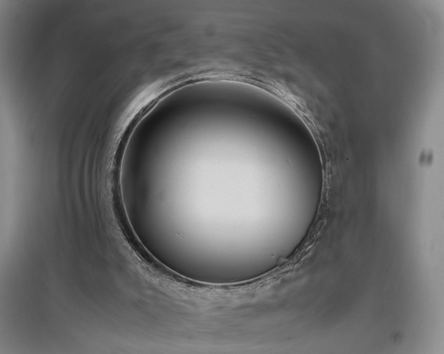 X0000097500007200802221455