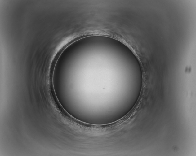 X0000097500008200802221455
