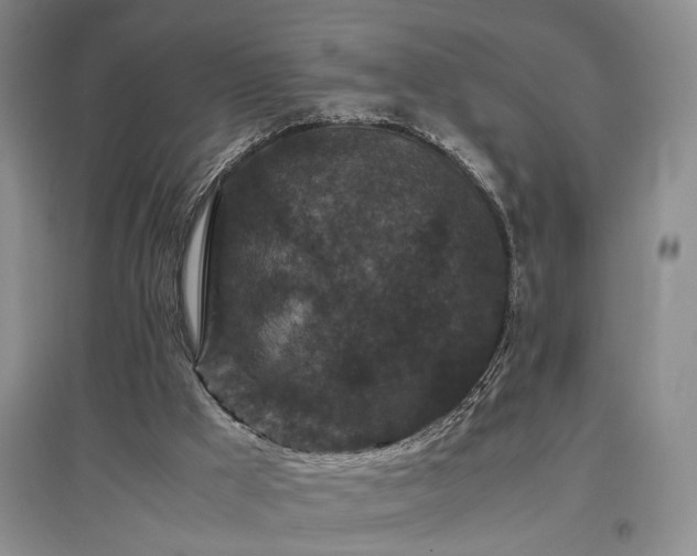 X0000097500009200802221455