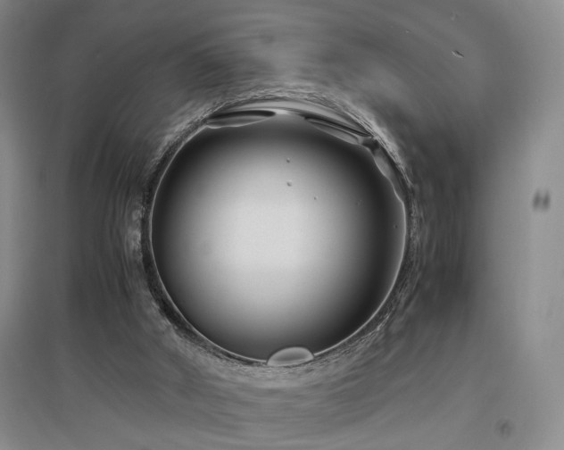 X0000097500010200802221455