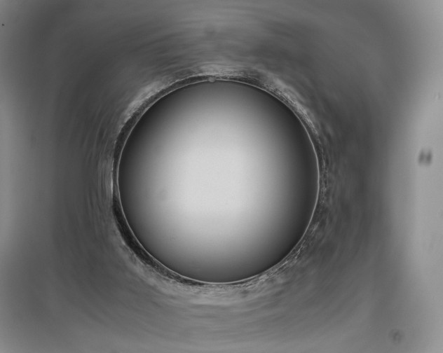 X0000097500011200802221455