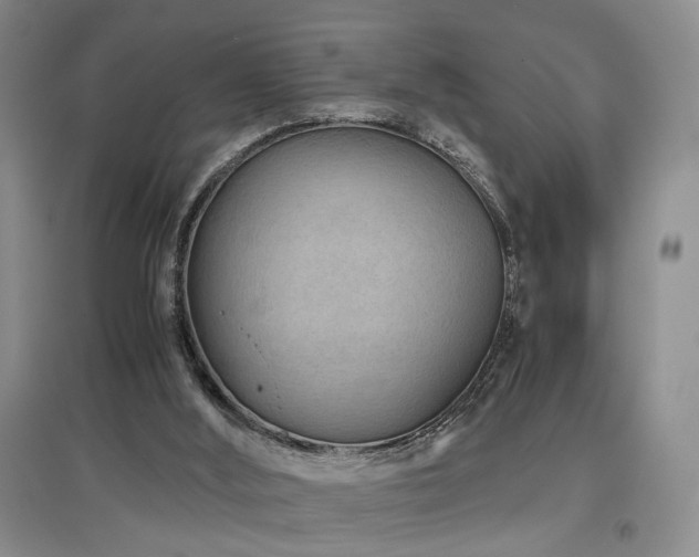 X0000097500012200802221455