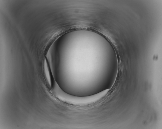 X0000097500013200802221455