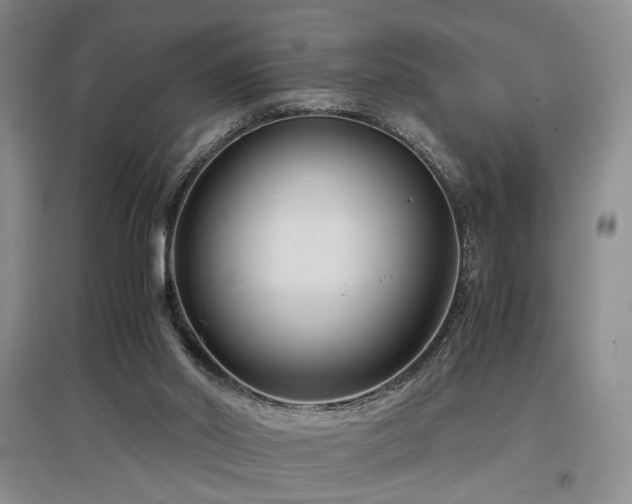 X0000097500014200802221454