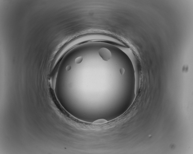 X0000097500015200802221454