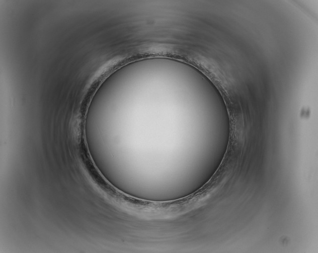 X0000097500016200802221454