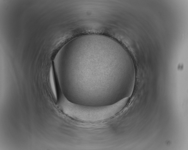 X0000097500017200802221454