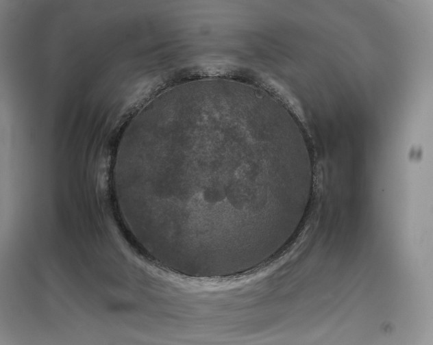 X0000097500018200802221454