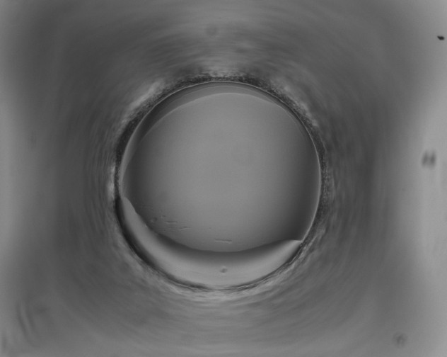 X0000097500019200802221454