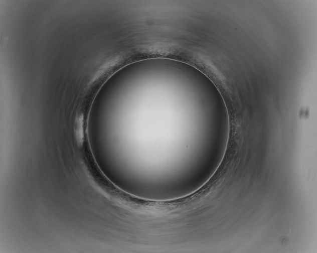 X0000097500020200802221454