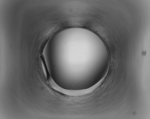 X0000097500021200802221454