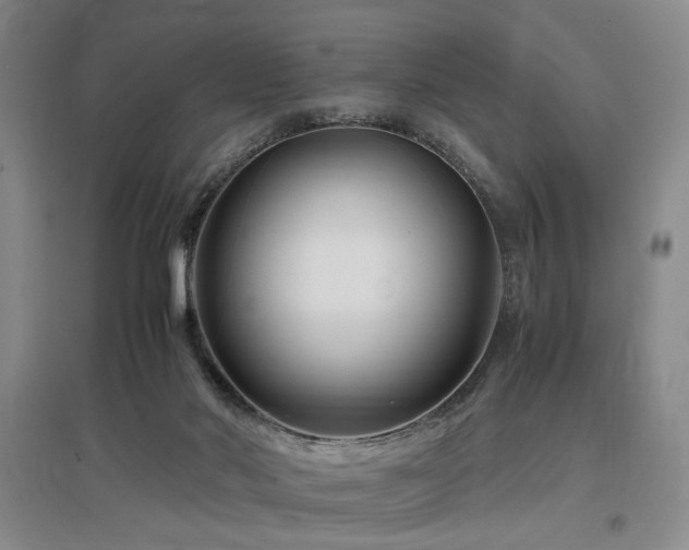 X0000097500022200802221454
