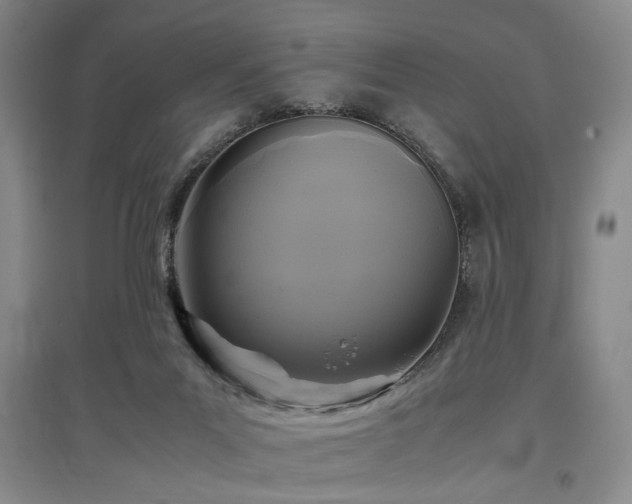 X0000097500023200802221454