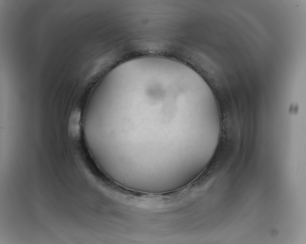 X0000097500024200802221454
