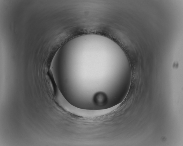 X0000097500025200802221454