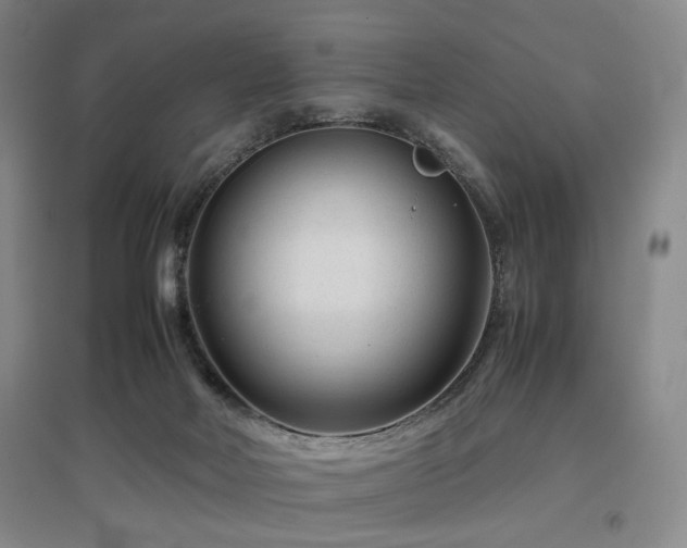 X0000097500026200802221454