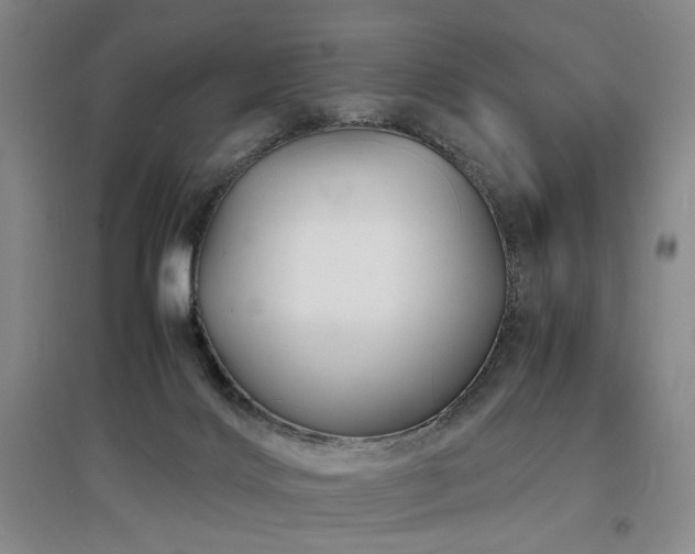 X0000097500028200802221454