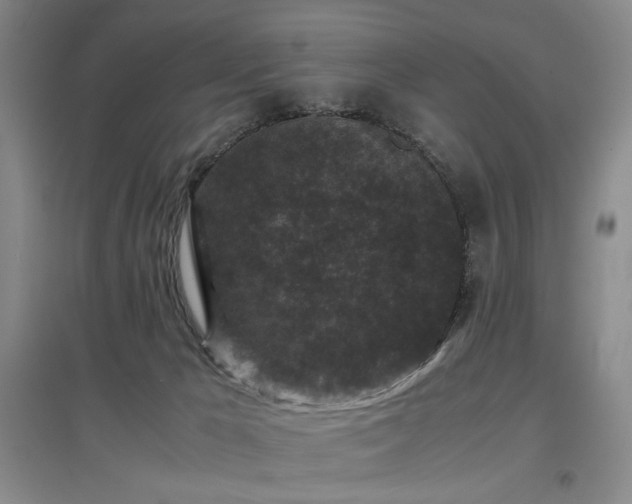 X0000097500029200802221454