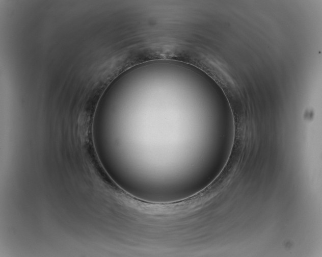X0000097500030200802221454