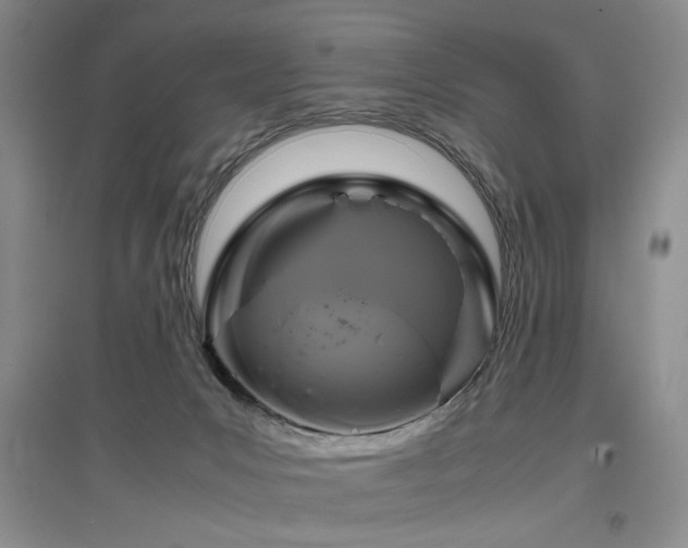 X0000097500031200802221454