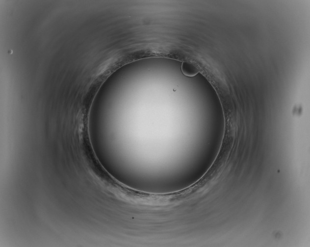 X0000097500032200802221454
