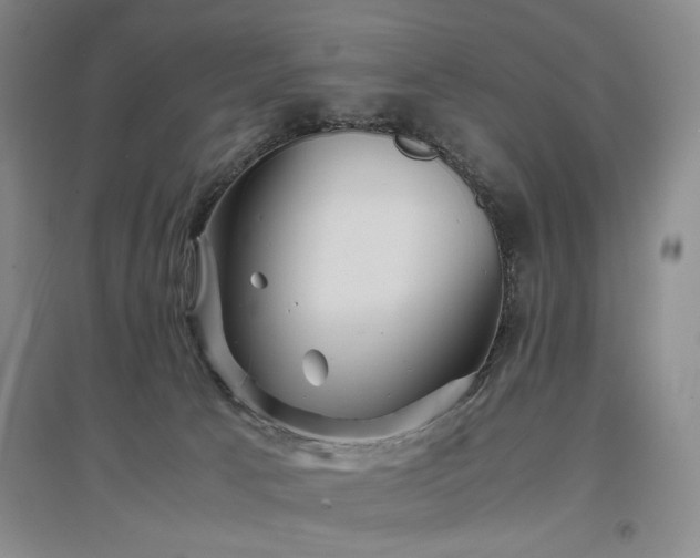 X0000097500033200802221454
