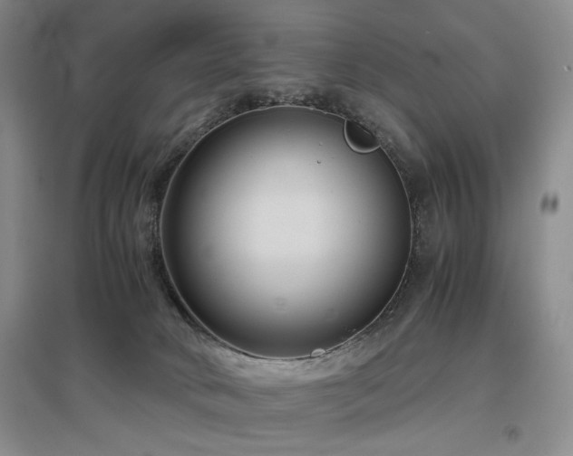 X0000097500034200802221454