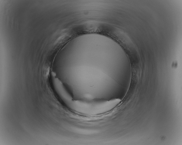 X0000097500035200802221454