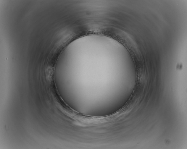 X0000097500036200802221454