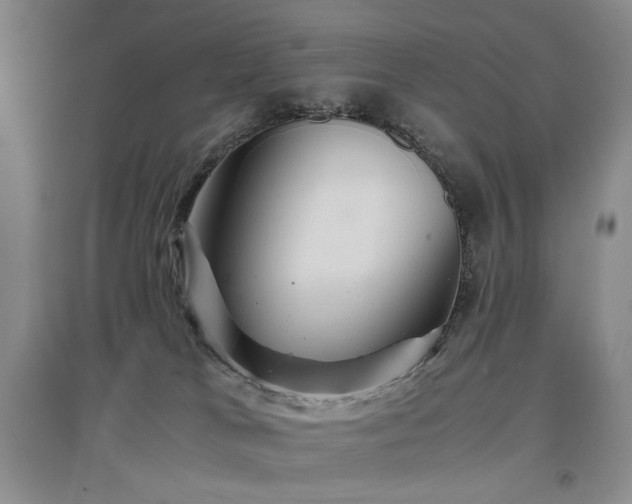X0000097500037200802221454