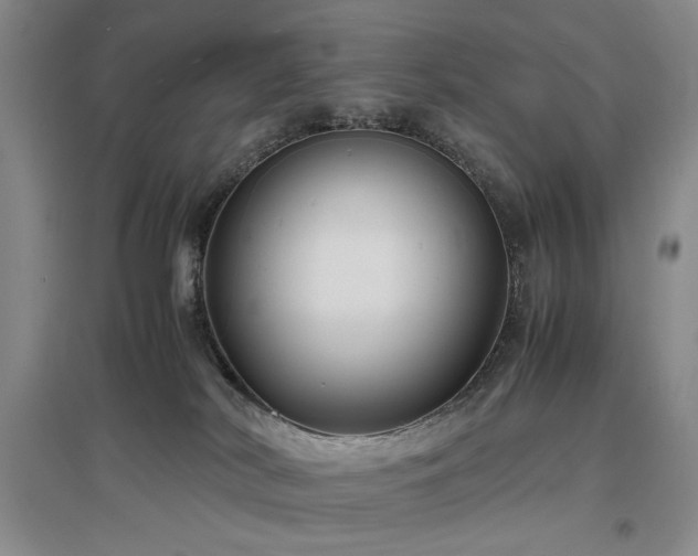 X0000097500038200802221454