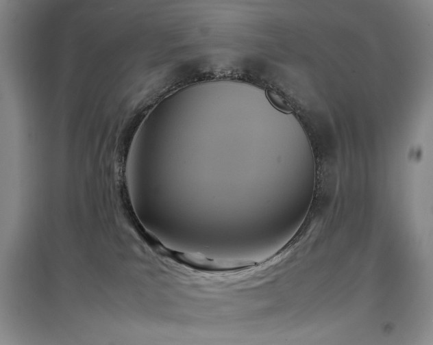 X0000097500039200802221454