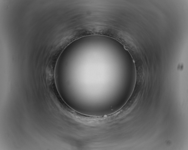 X0000097500040200802221454