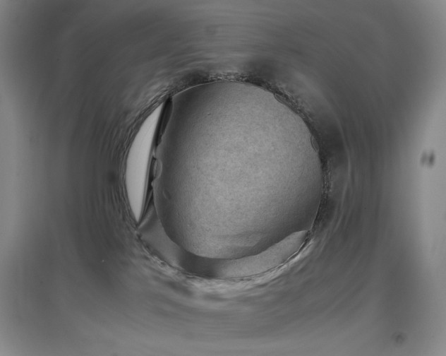 X0000097500041200802221454