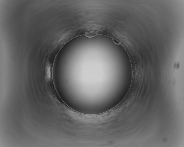 X0000097500042200802221454
